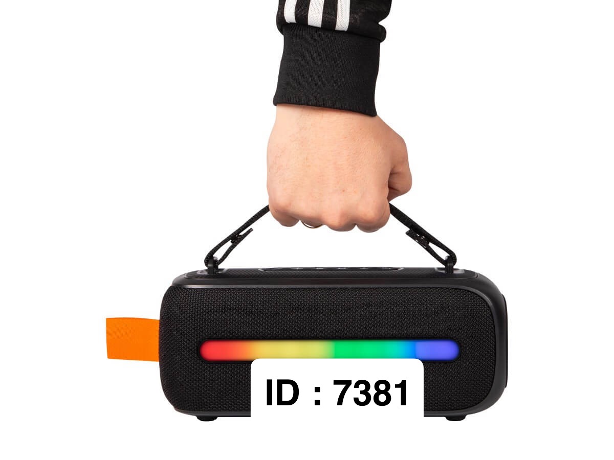 Enceinte karaoké portable